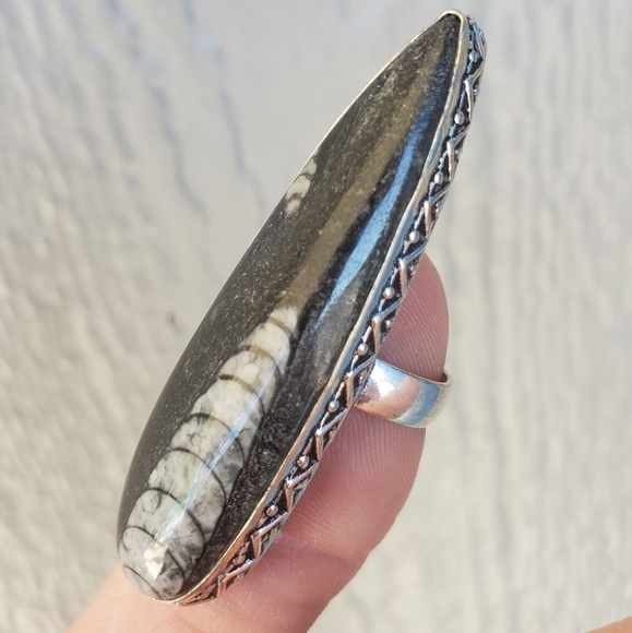 New Oversized Orthoceras Fossil 925 Silver Statement Ring. - Picture 12 of 16
